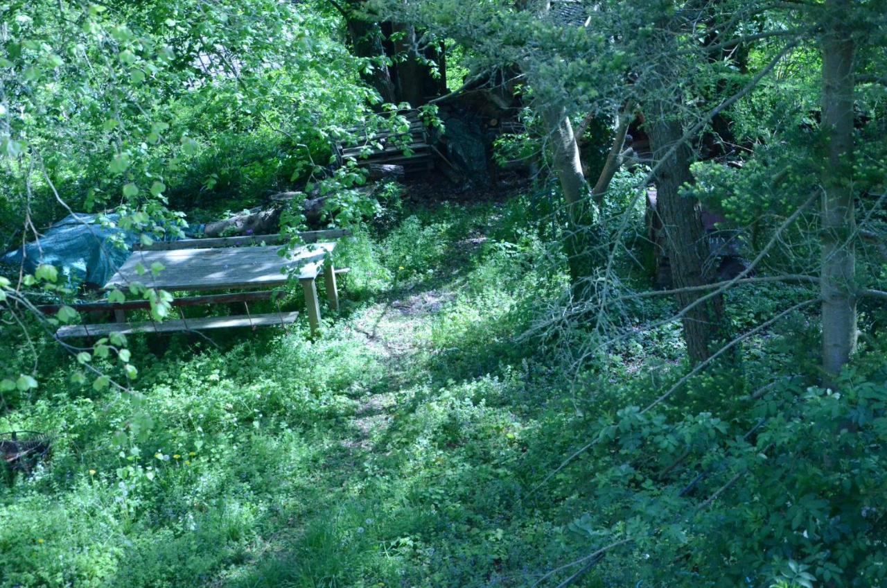 La cave au chat'pitre / l'étable Villers-le-Bouillet Esterno foto